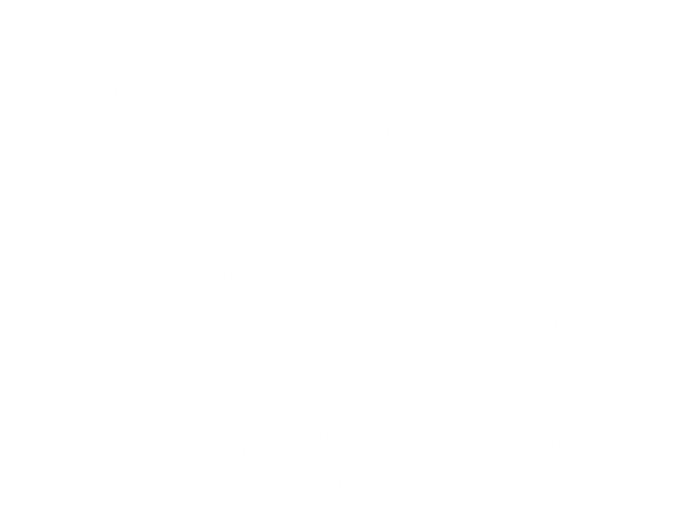 Munich To Milan cycling supported