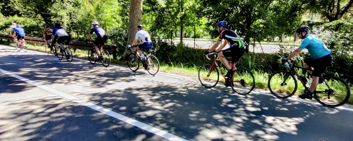 A group of cyclists enjoying a smooth shaded asphalt road during a professionally supported european cycling holiday read our guide to selecting the ideal bike for your next tour