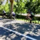 A group of cyclists enjoying a smooth shaded asphalt road during a professionally supported european cycling holiday read our guide to selecting the ideal bike for your next tour