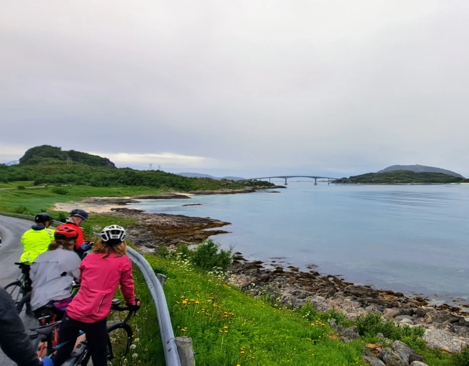 A group of cyclists admiring the panoramic coastal view and the Sommarøy Bridge during a guided Arctic cycling tour in Norway; view our full Atlantic Coast itinerary for more details.